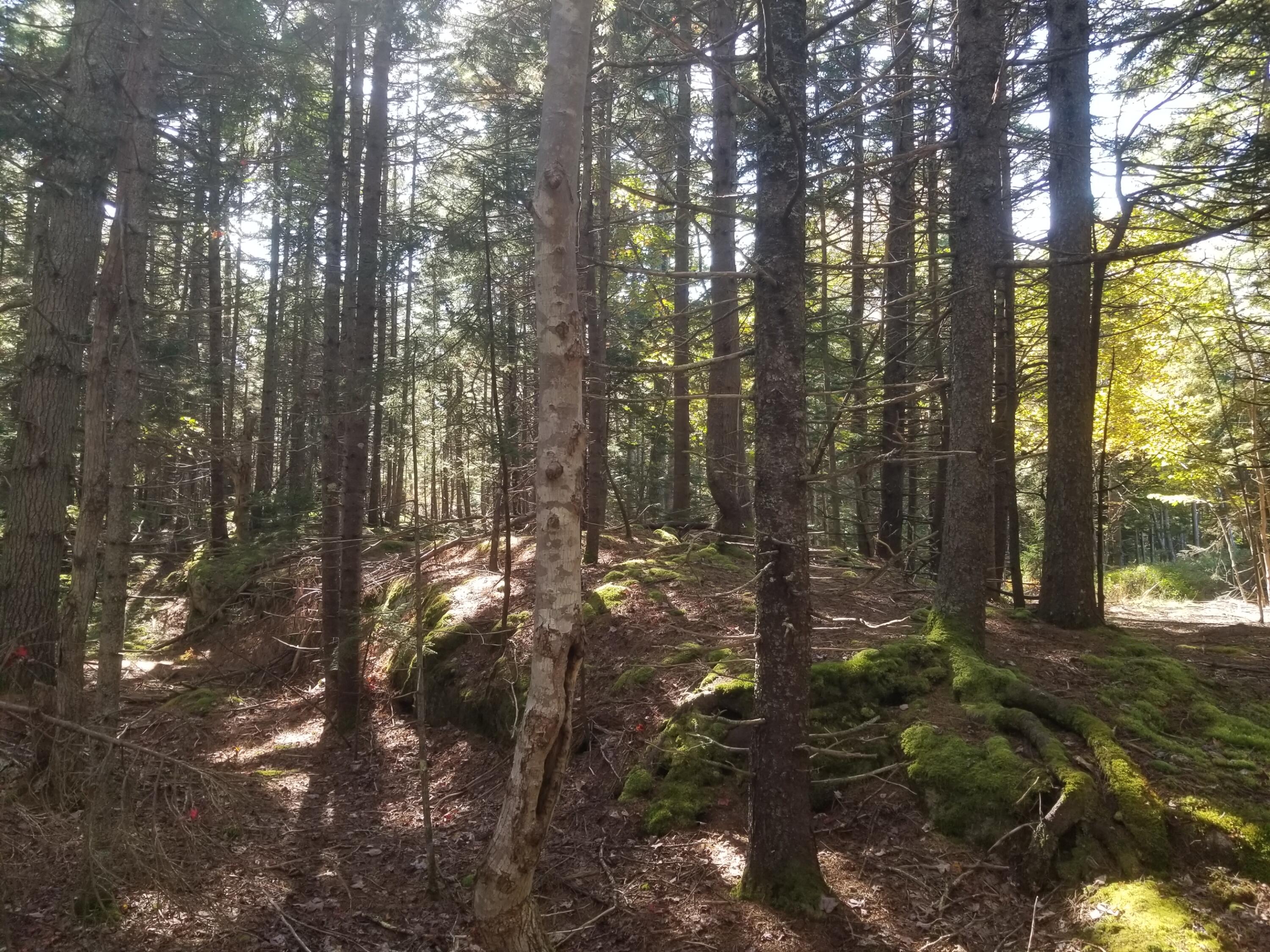 0 Holland Drive Phippsburg ME 04562