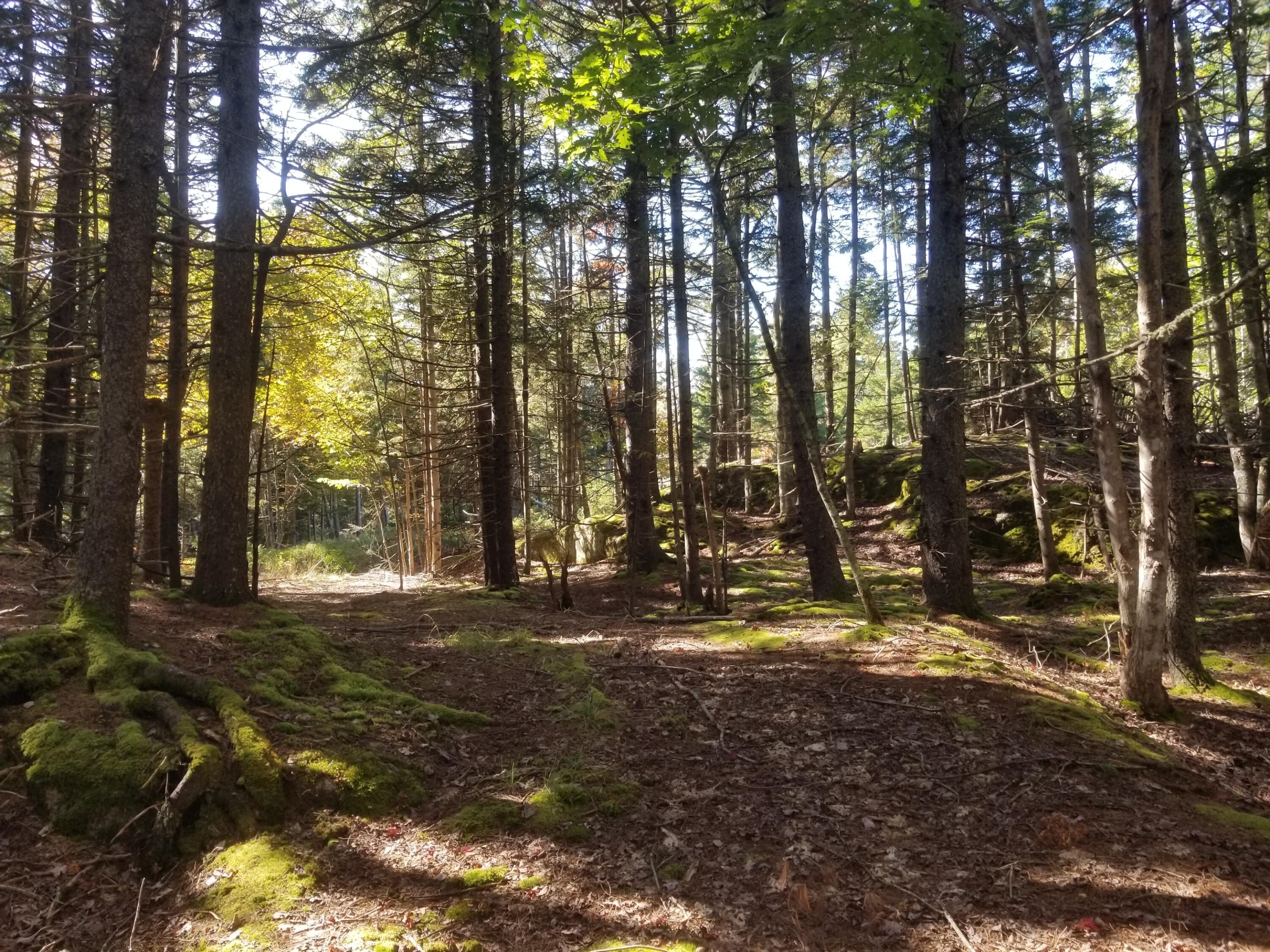 0 Holland Drive Phippsburg ME 04562