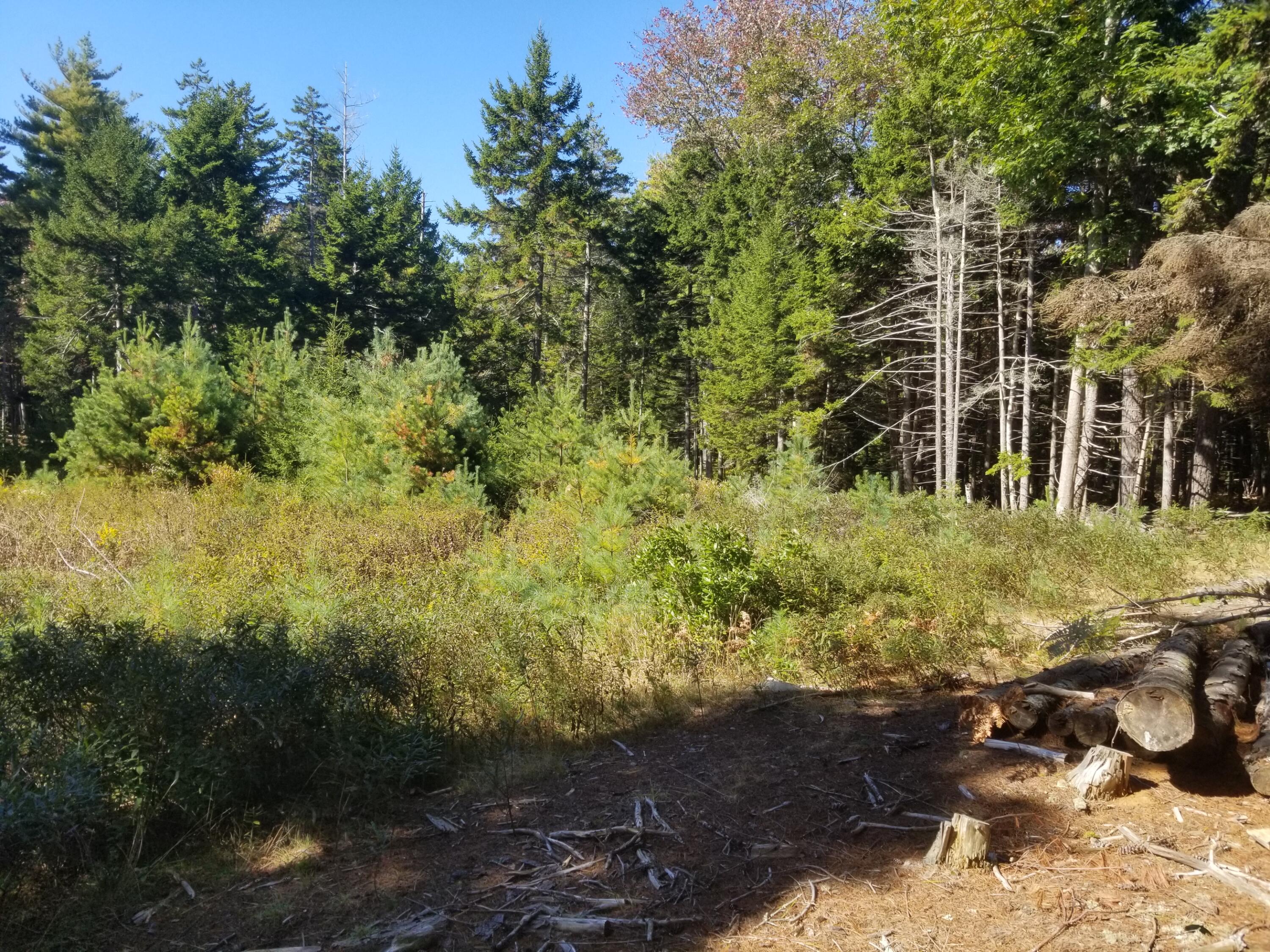 0 Holland Drive Phippsburg ME 04562