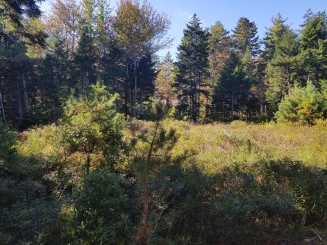 0 Holland Drive Phippsburg ME 04562