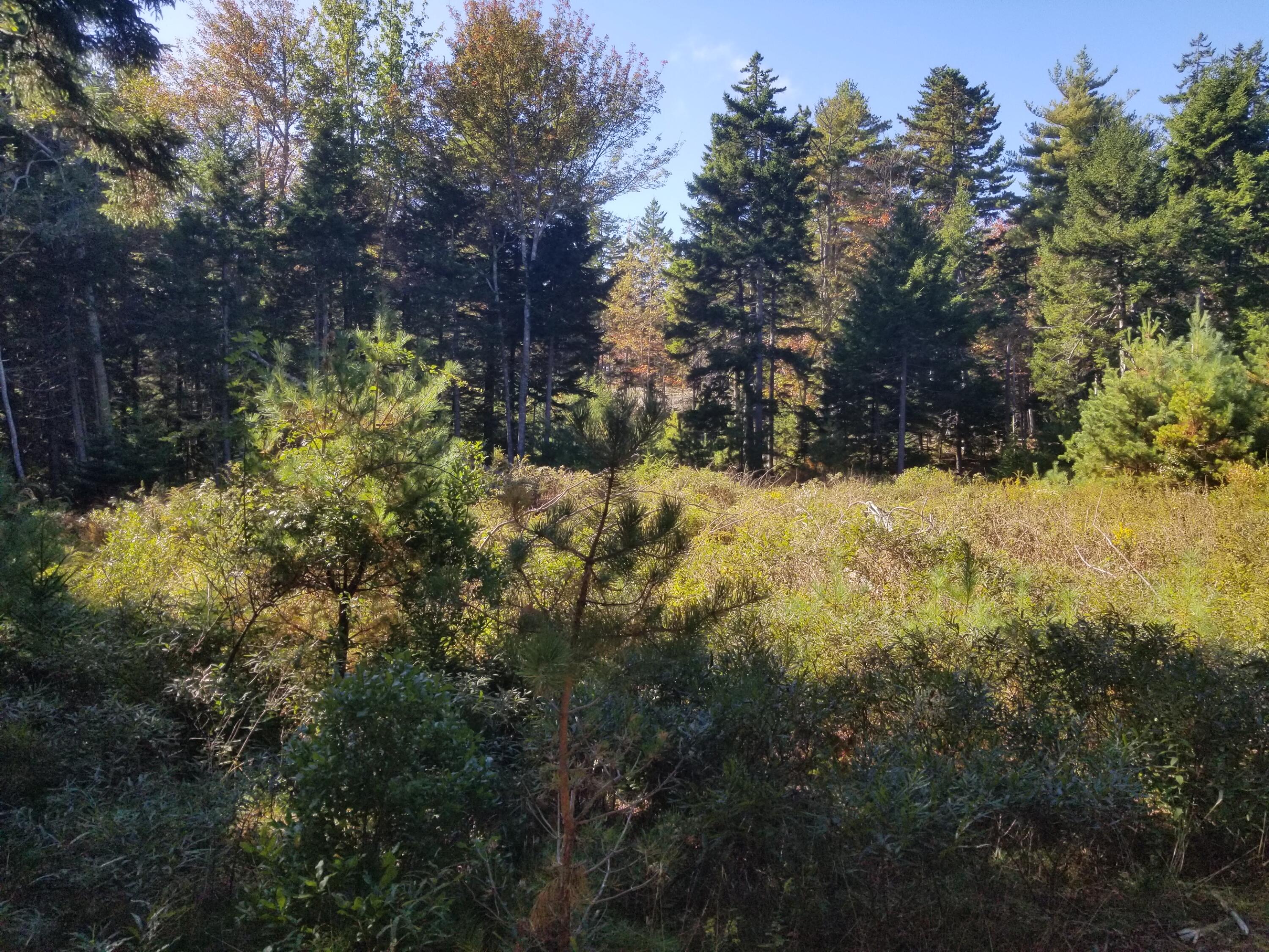 0 Holland Drive Phippsburg ME 04562