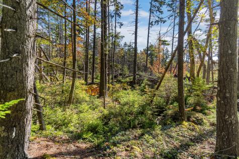 0 Holland Drive Phippsburg ME 04562