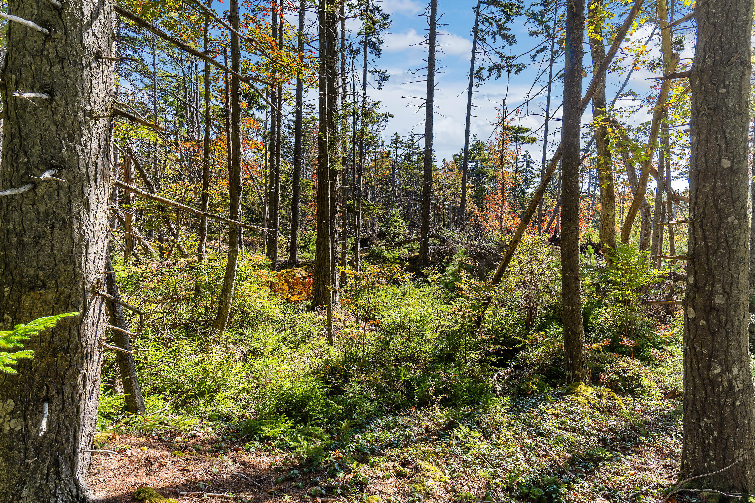 0 Holland Drive Phippsburg ME 04562