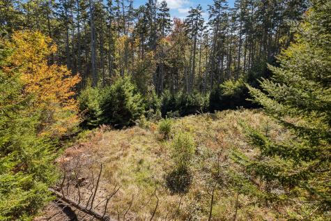 0 Holland Drive Phippsburg ME 04562