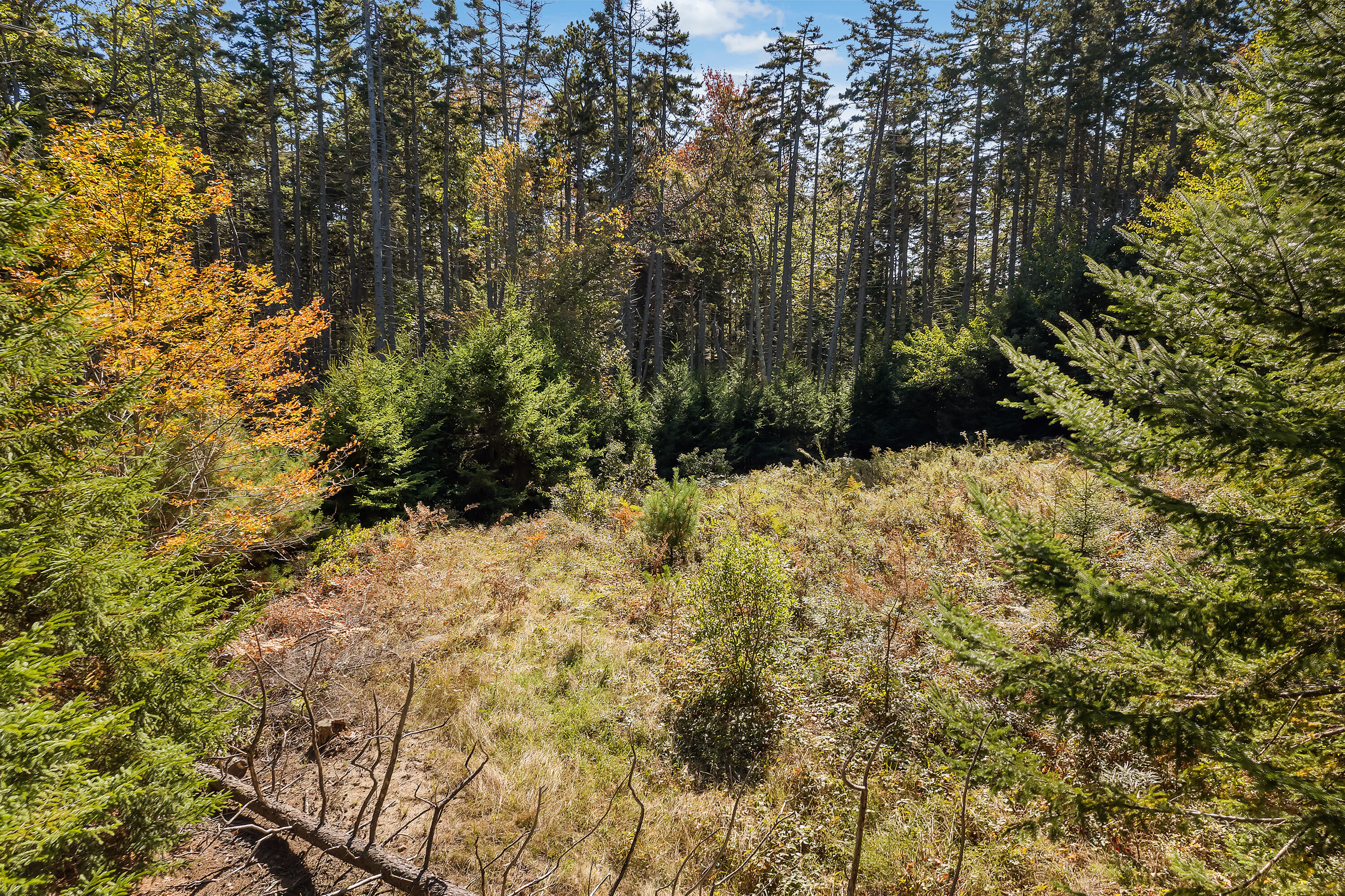 0 Holland Drive Phippsburg ME 04562