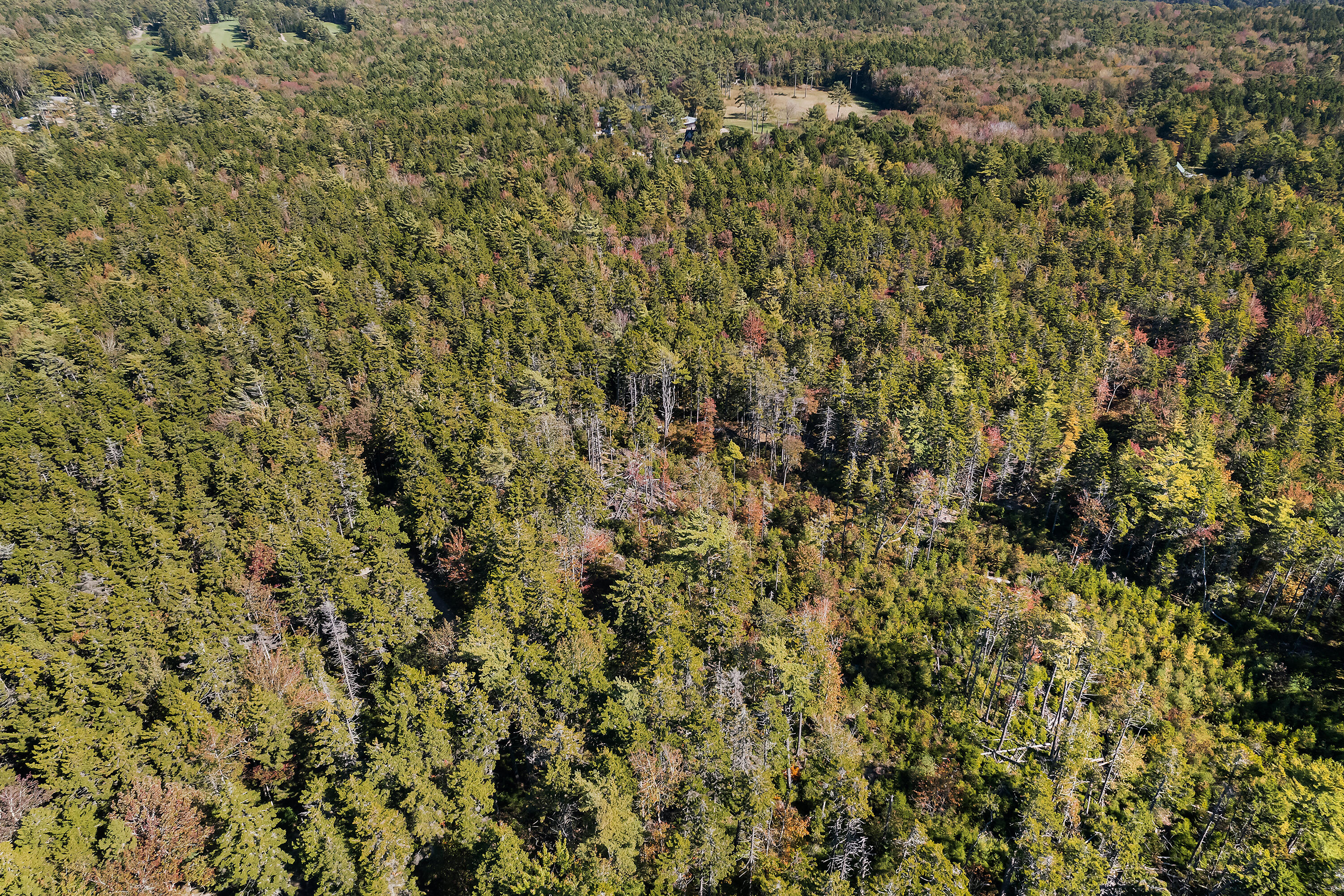 0 Holland Drive Phippsburg ME 04562