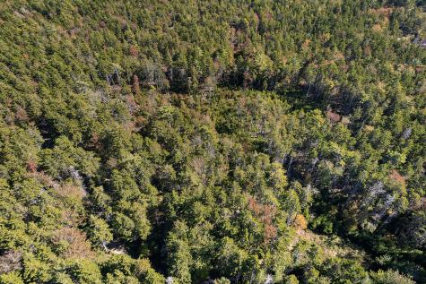 0 Holland Drive Phippsburg ME 04562