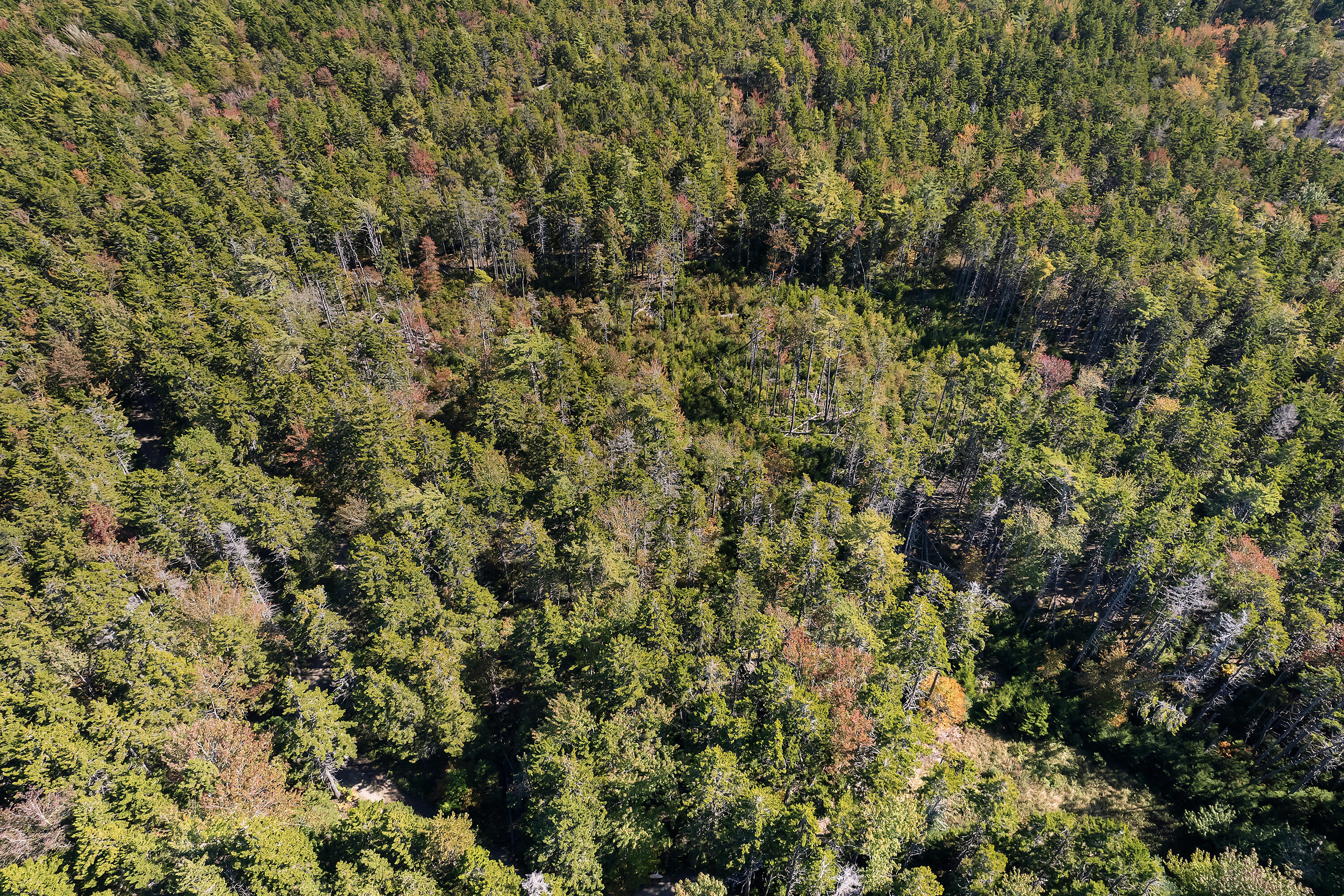 0 Holland Drive Phippsburg ME 04562