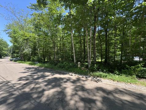 Lot 19 Thomas Pond Shore Road Casco ME 04015