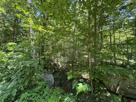 Lot 19 Thomas Pond Shore Road Casco ME 04015