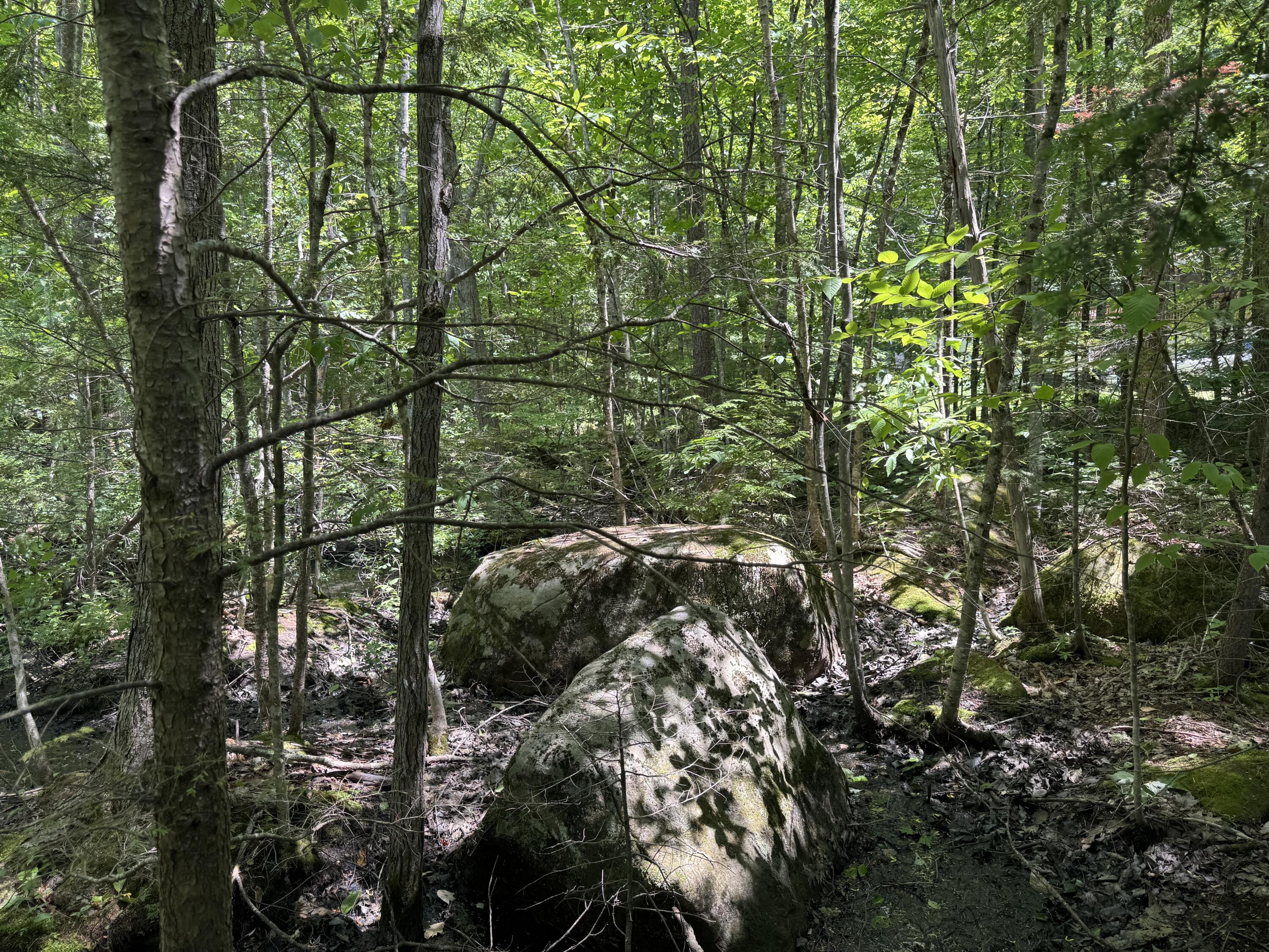 Lot 19 Thomas Pond Shore Road Casco ME 04015