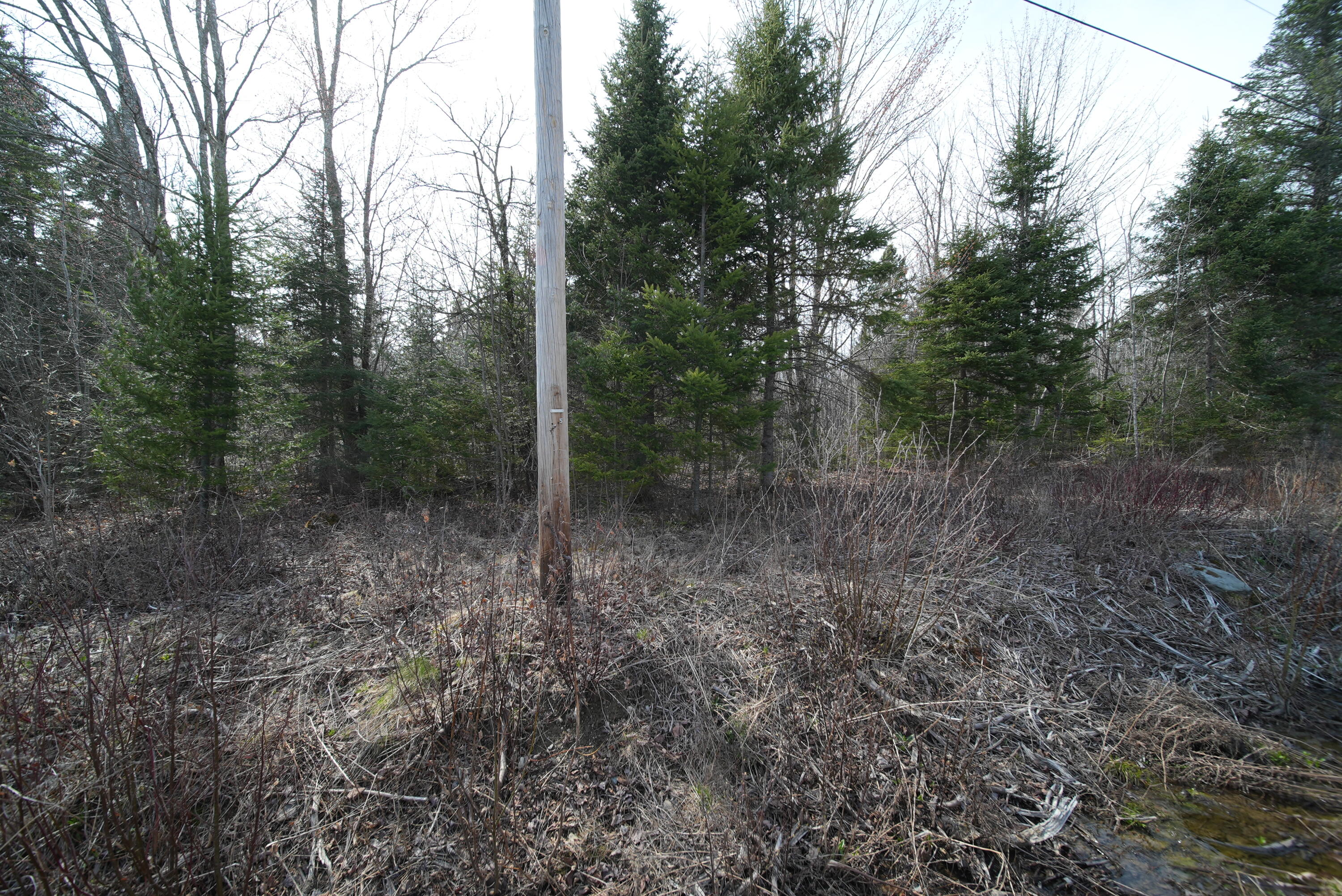 Lot 25 Smyrna Townline Road Smyrna ME 04780