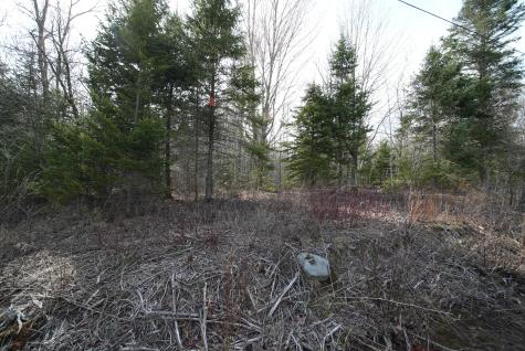 Lot 25 Smyrna Townline Road Smyrna ME 04780