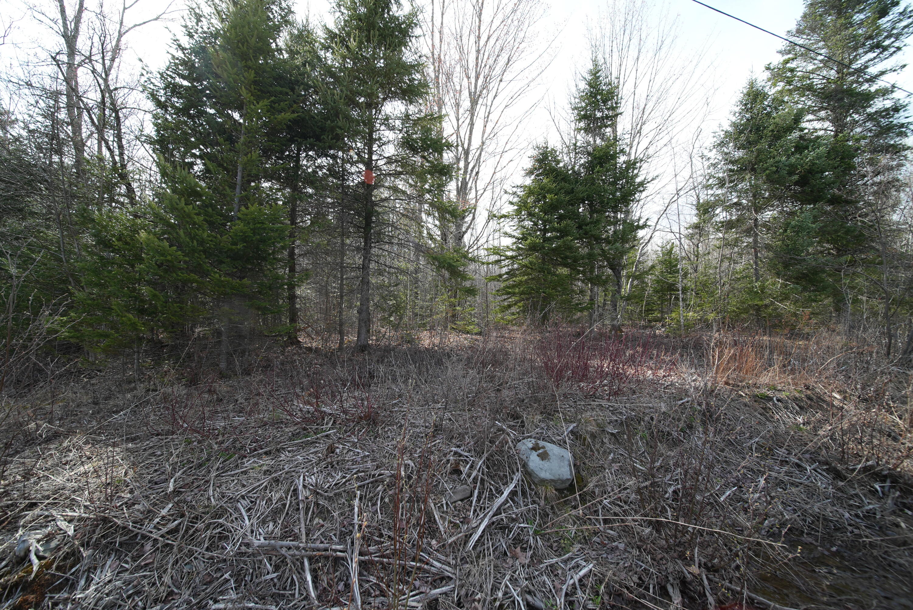 Lot 25 Smyrna Townline Road Smyrna ME 04780