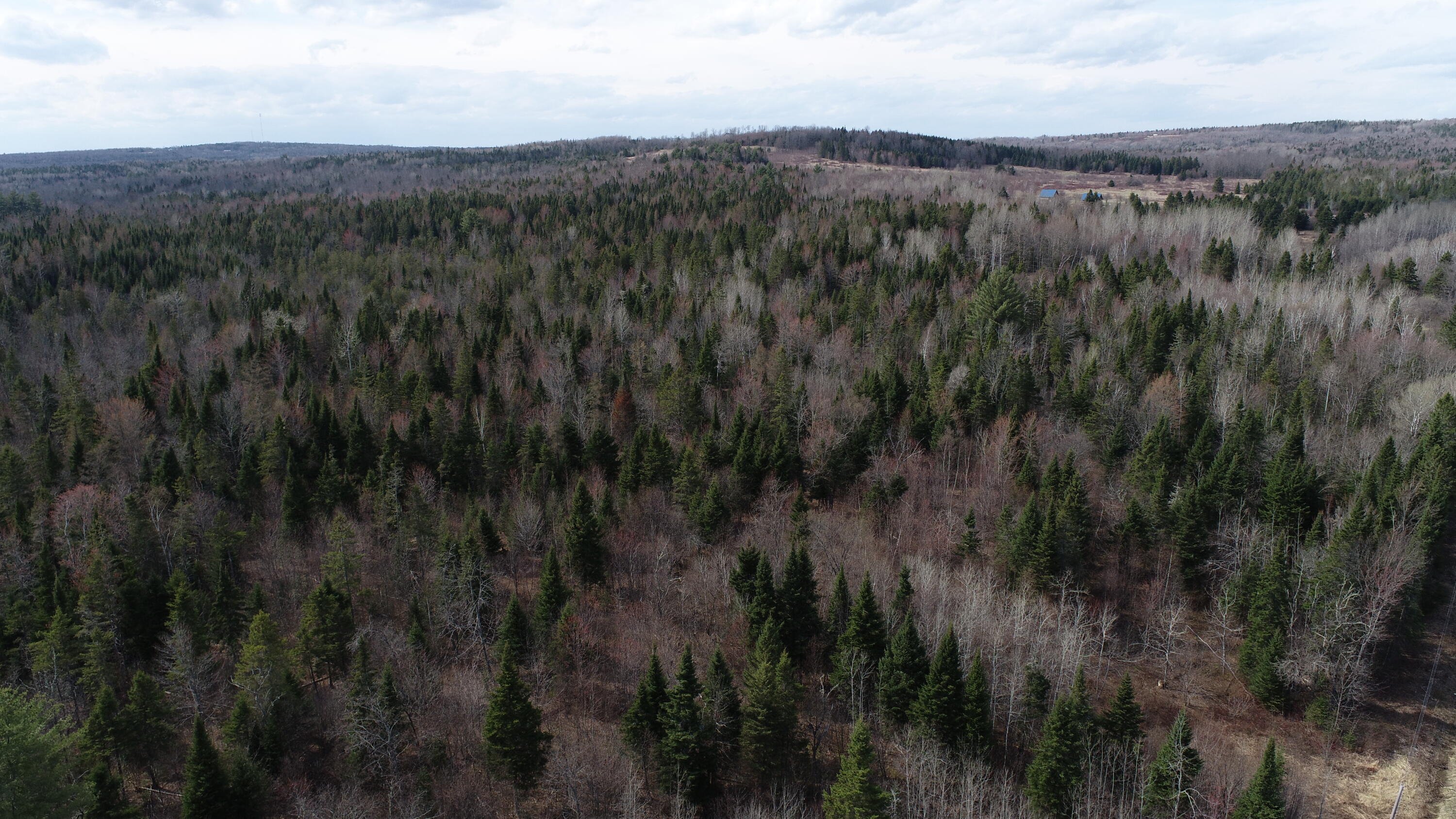 Lot 25 Smyrna Townline Road Smyrna ME 04780