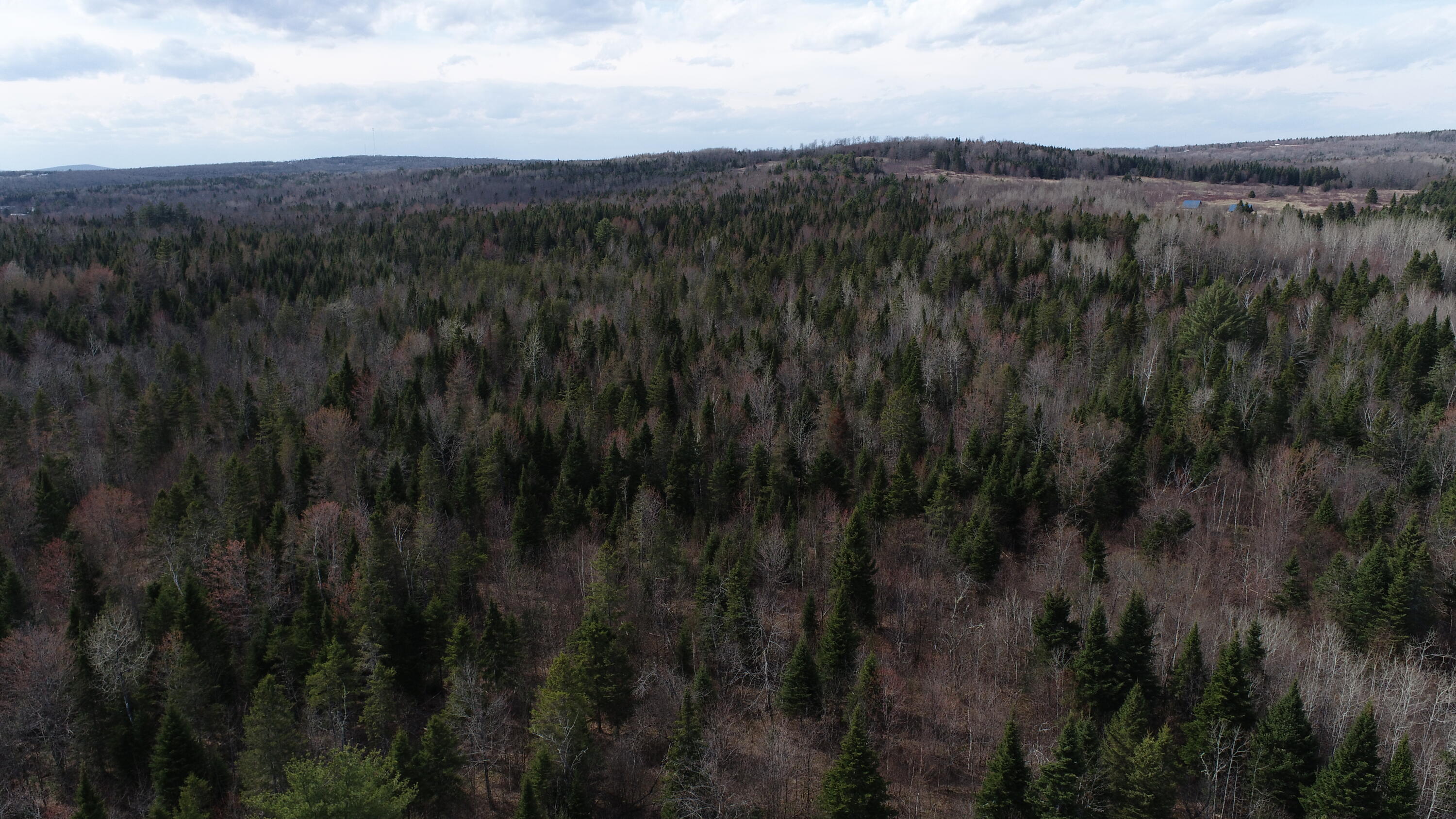 Lot 25 Smyrna Townline Road Smyrna ME 04780