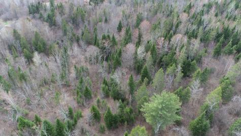 Lot 25 Smyrna Townline Road Smyrna ME 04780