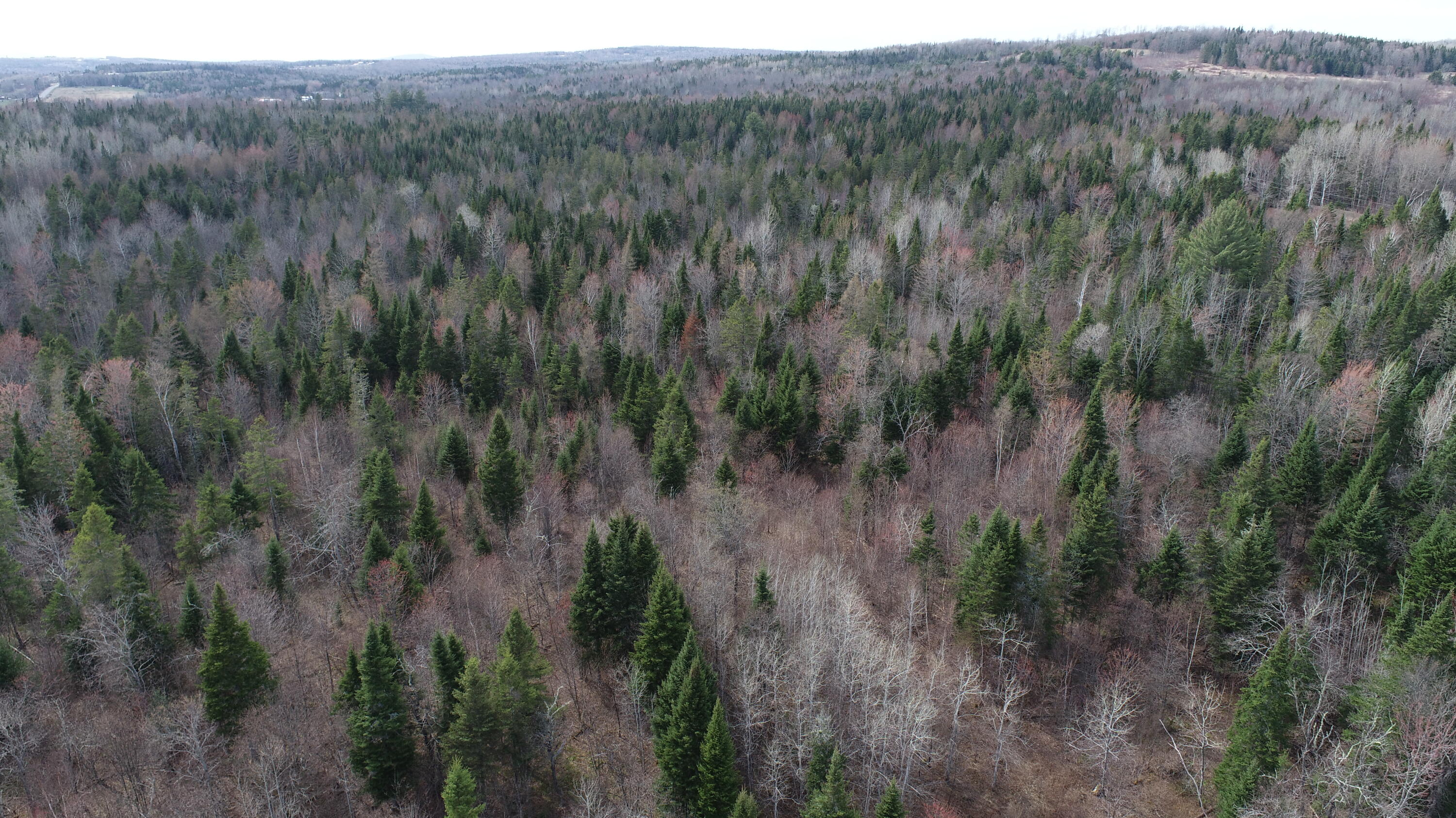 Lot 25 Smyrna Townline Road Smyrna ME 04780