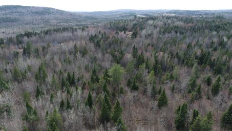 Lot 25 Smyrna Townline Road Smyrna ME 04780