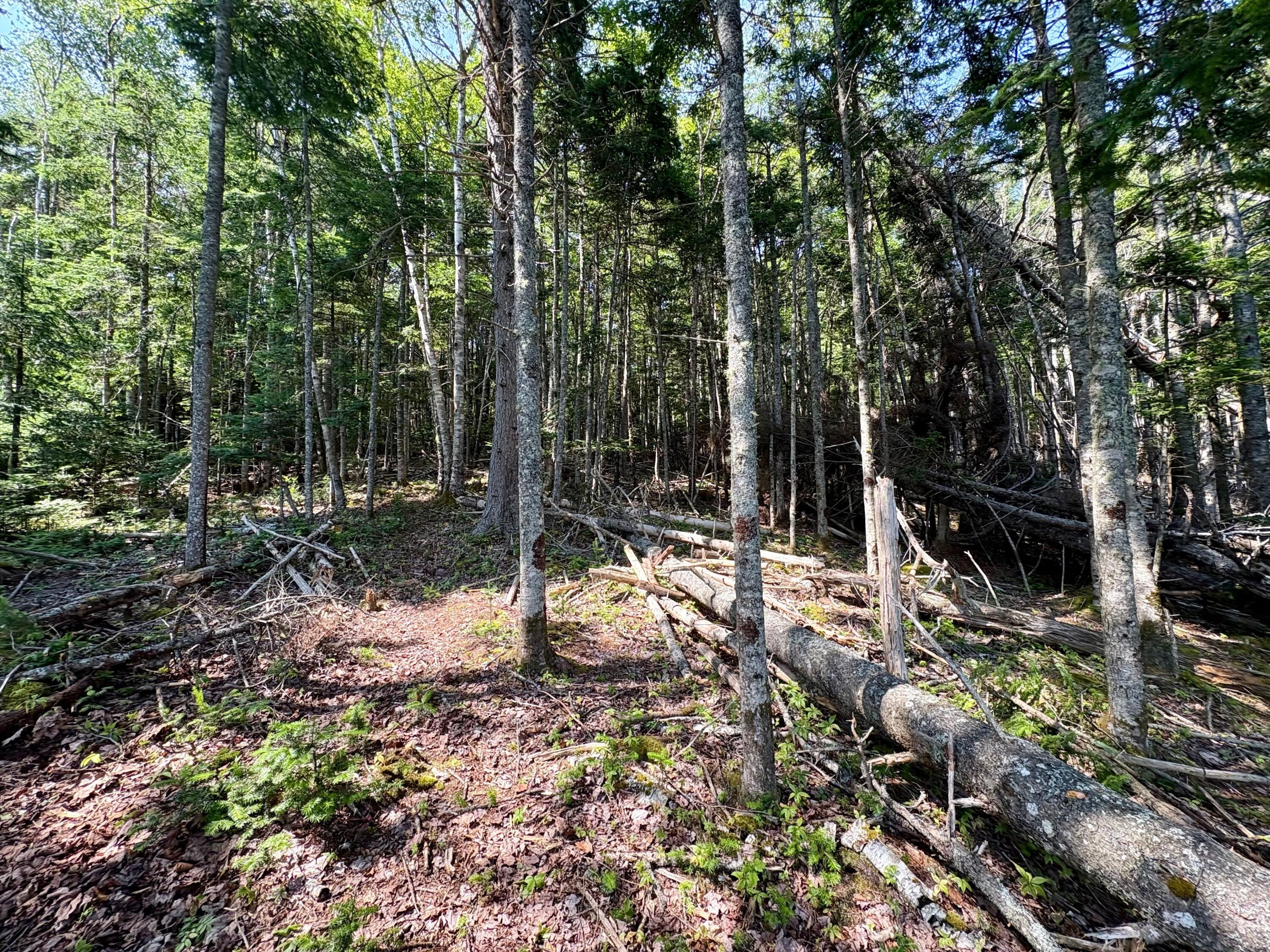 Lot 95 N Duck Cove Road Roque Bluffs ME 04654