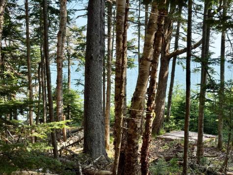 Lot 95 N Duck Cove Road Roque Bluffs ME 04654