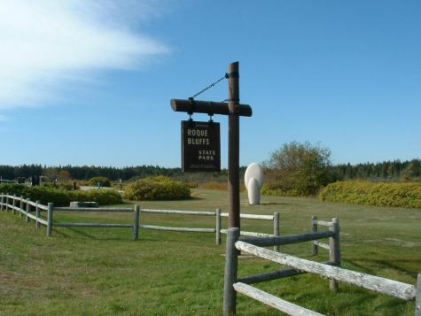 Lot 95 N Duck Cove Road Roque Bluffs ME 04654