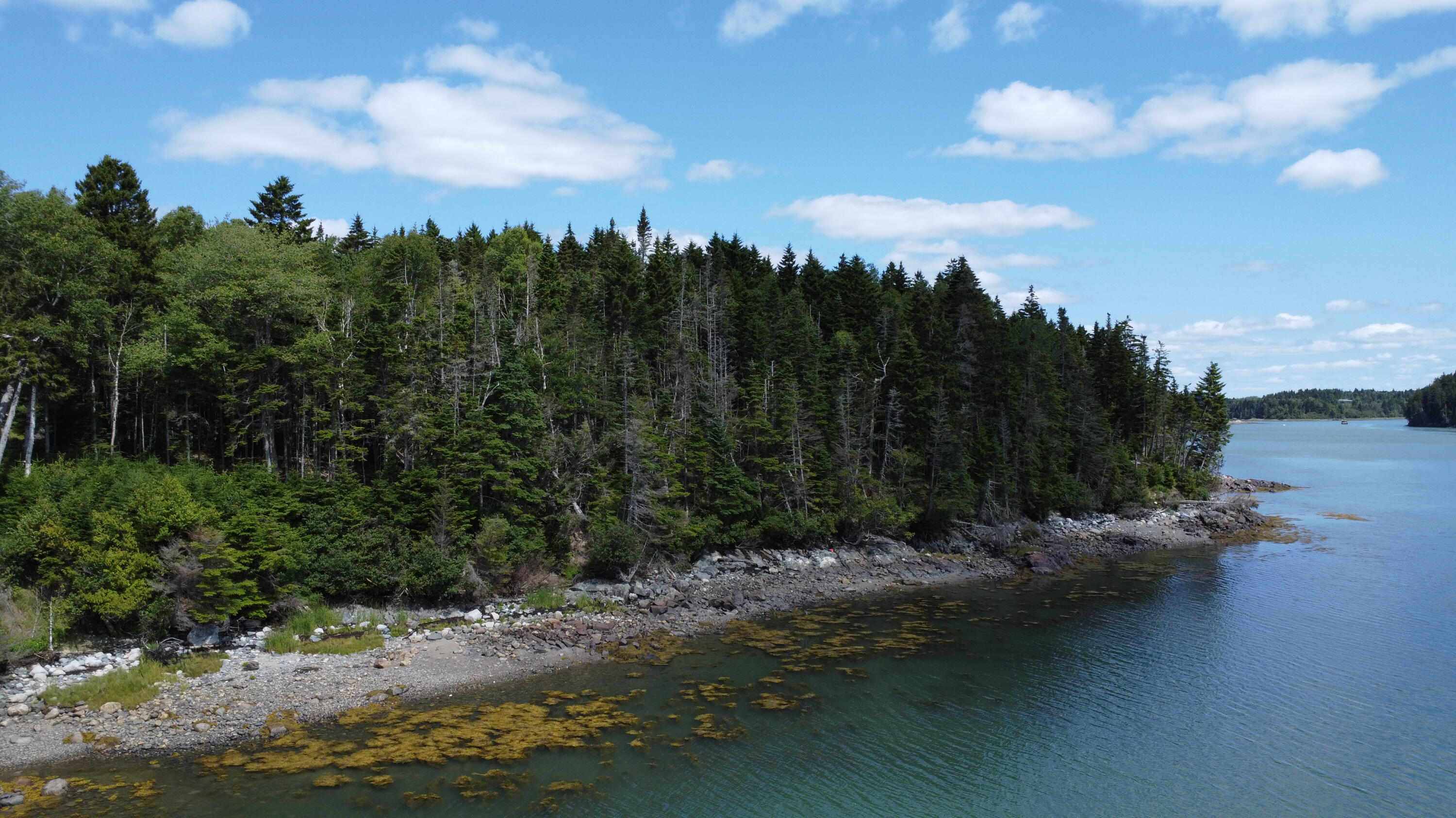 Lot 95 N Duck Cove Road Roque Bluffs ME 04654