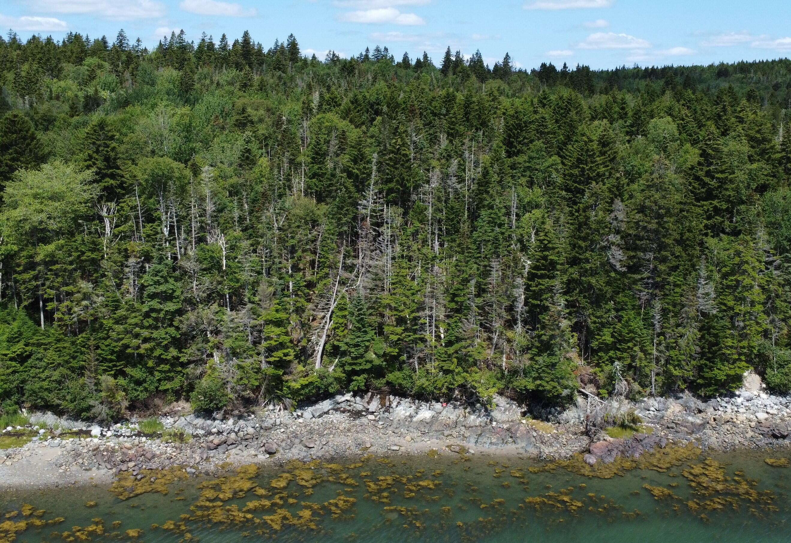 Lot 95 N Duck Cove Road Roque Bluffs ME 04654