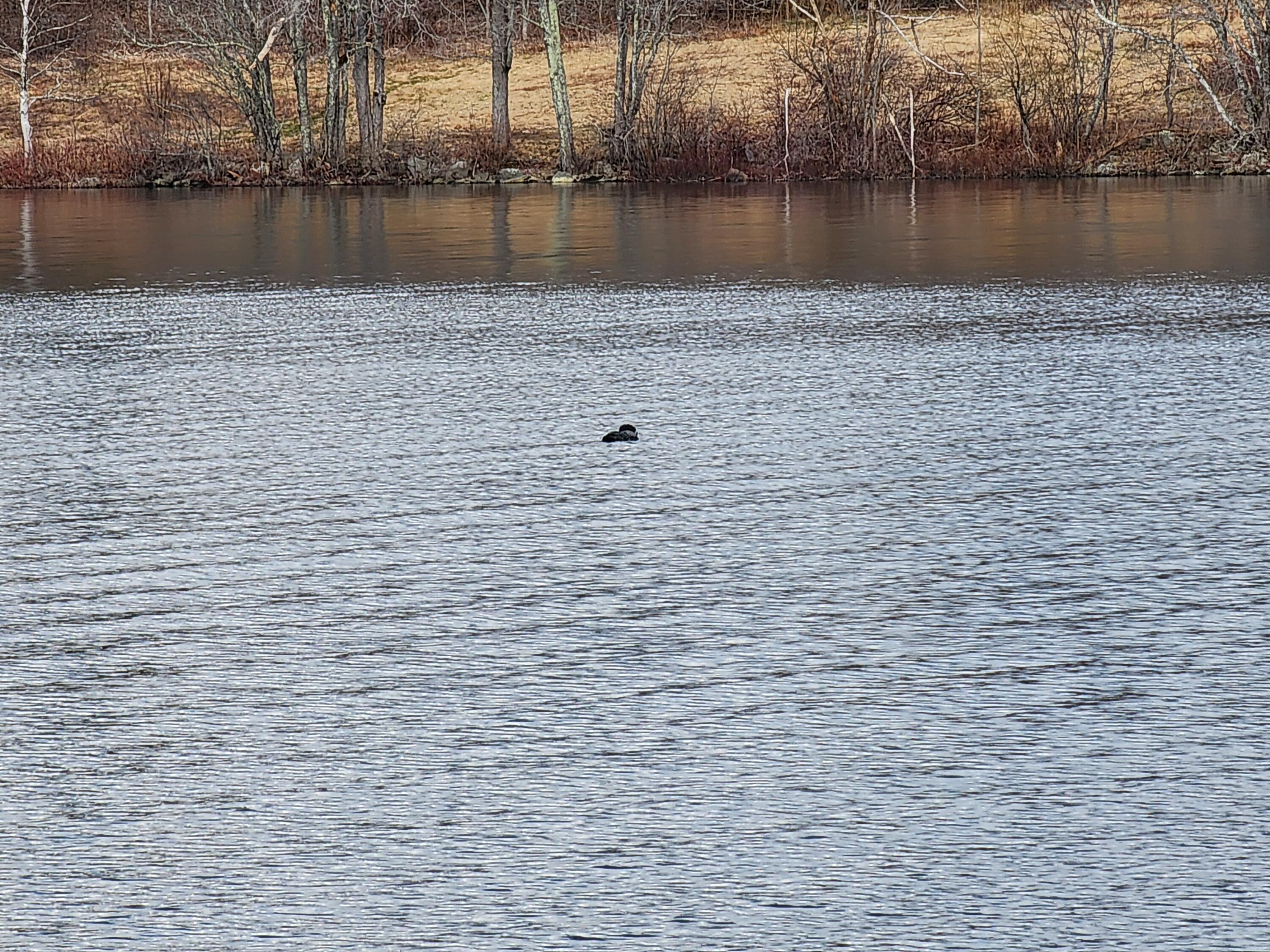 3 Goose River Estates Swanville ME 04915