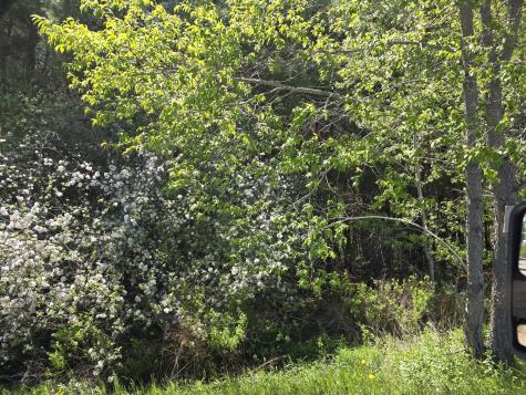 3 Goose River Estates Swanville ME 04915
