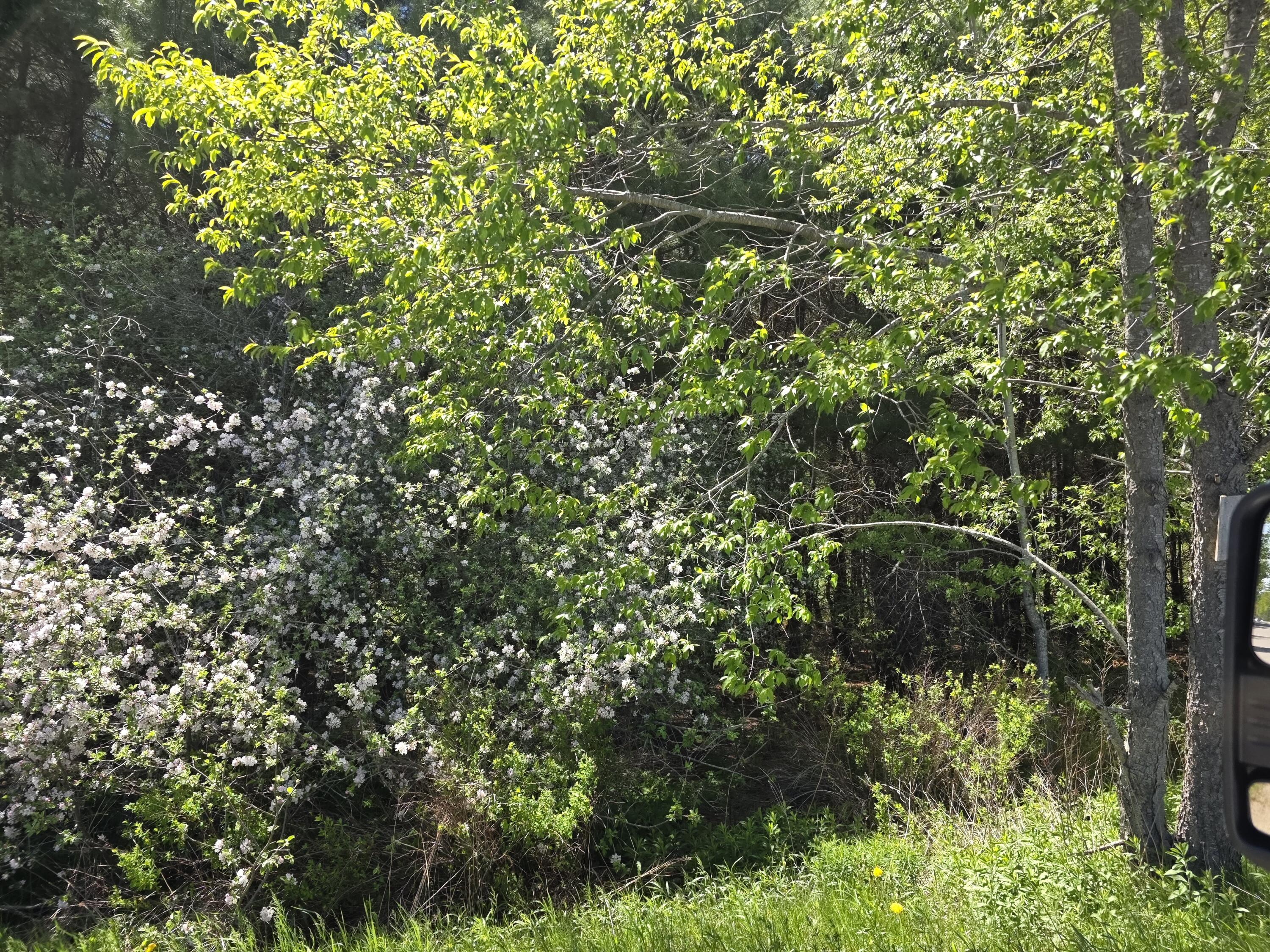 3 Goose River Estates Swanville ME 04915