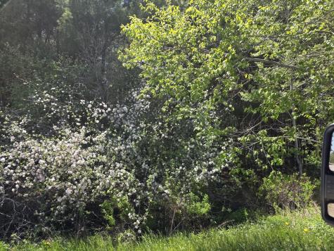 3 Goose River Estates Swanville ME 04915