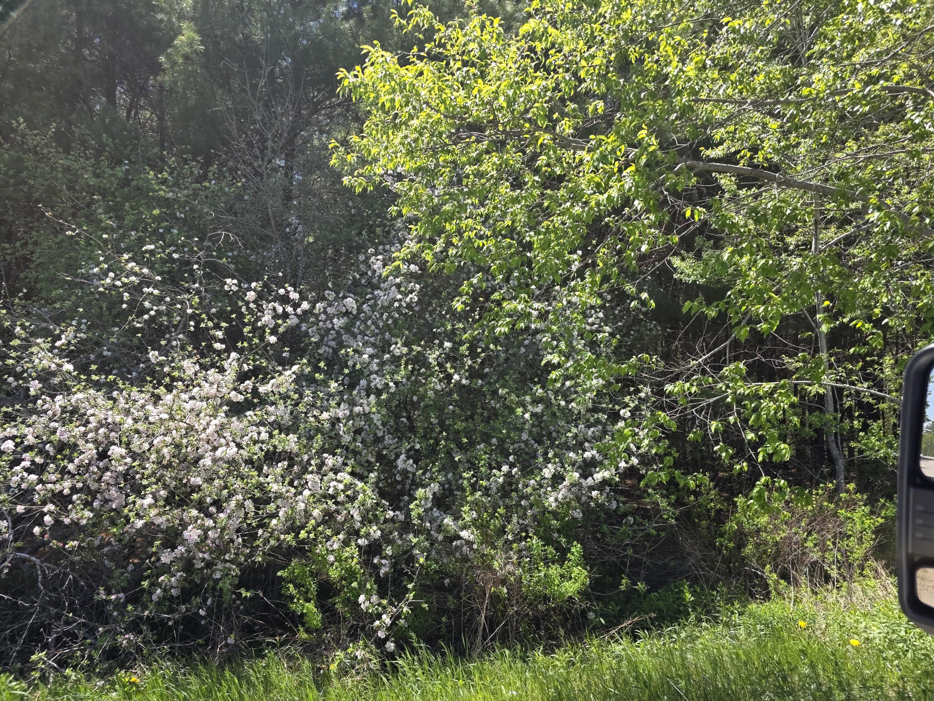 3 Goose River Estates Swanville ME 04915