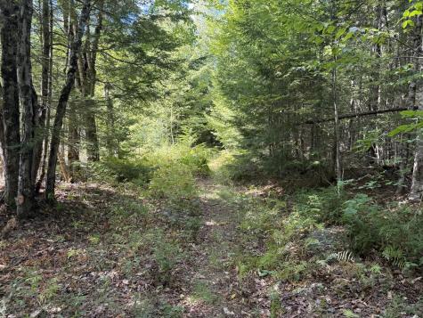 17 Angel Lane Medford ME 04463