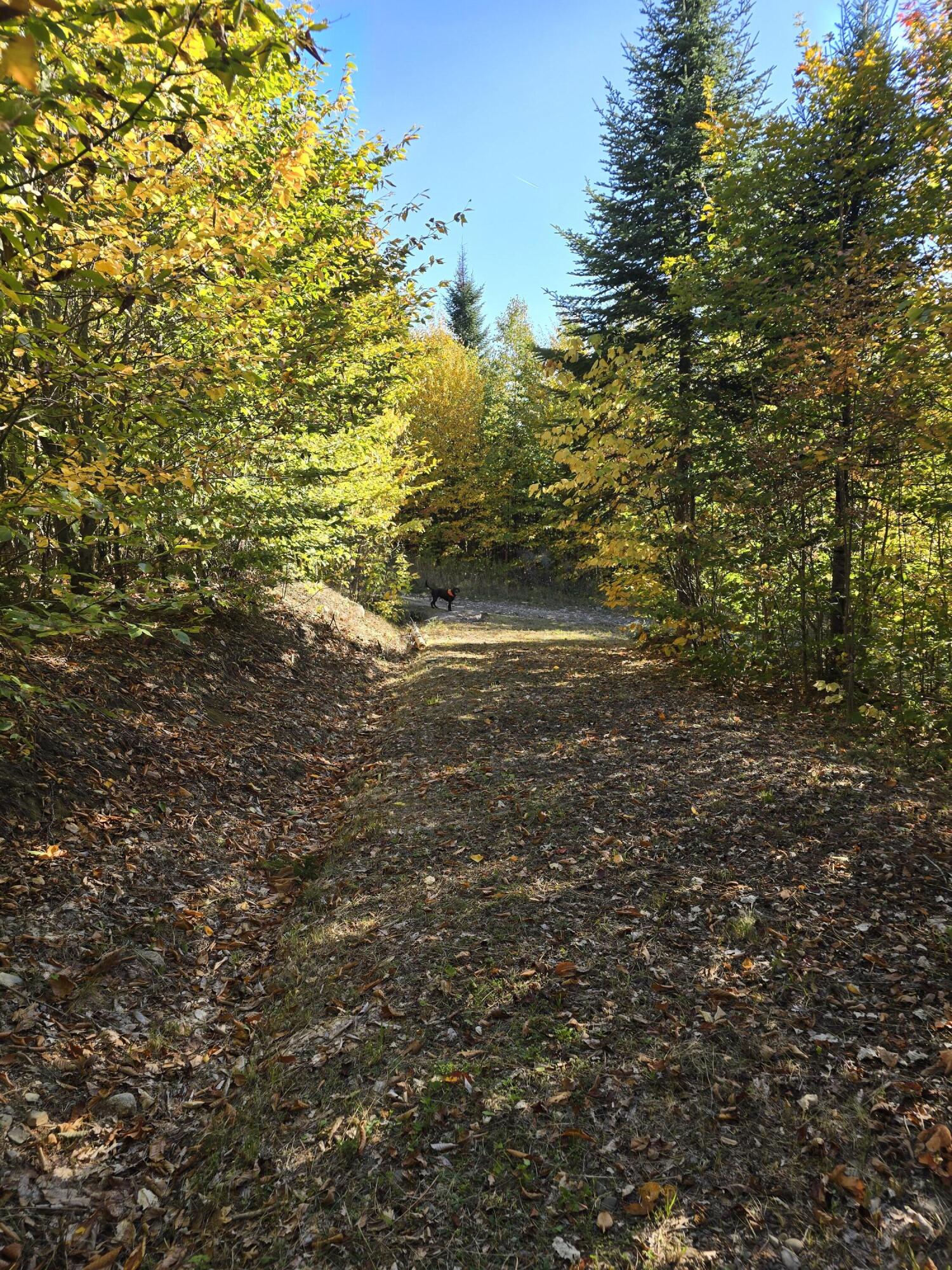 Lot 25-6w Bates Ridge Road Linneus ME 04730