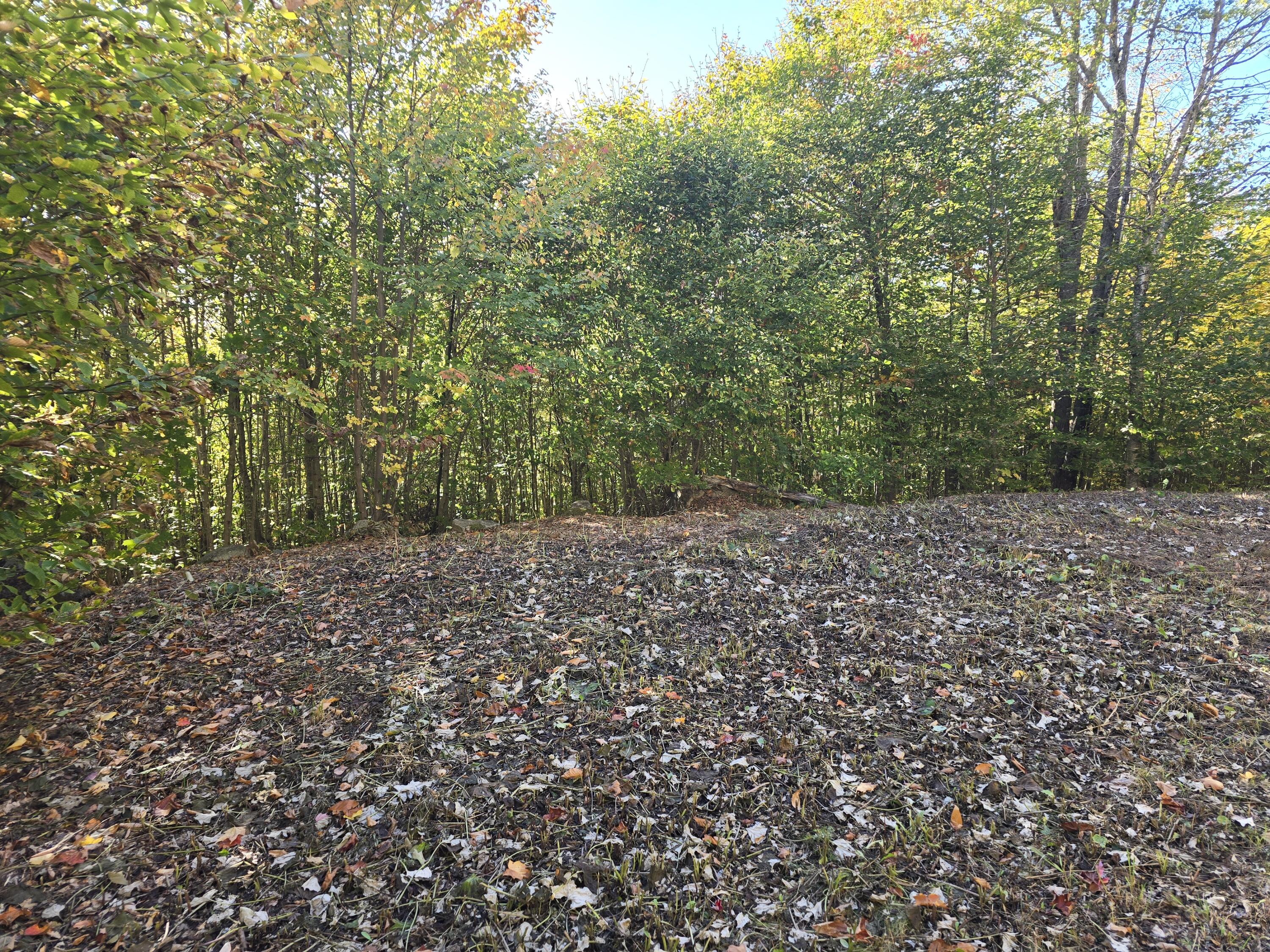 Lot 25-6w Bates Ridge Road Linneus ME 04730