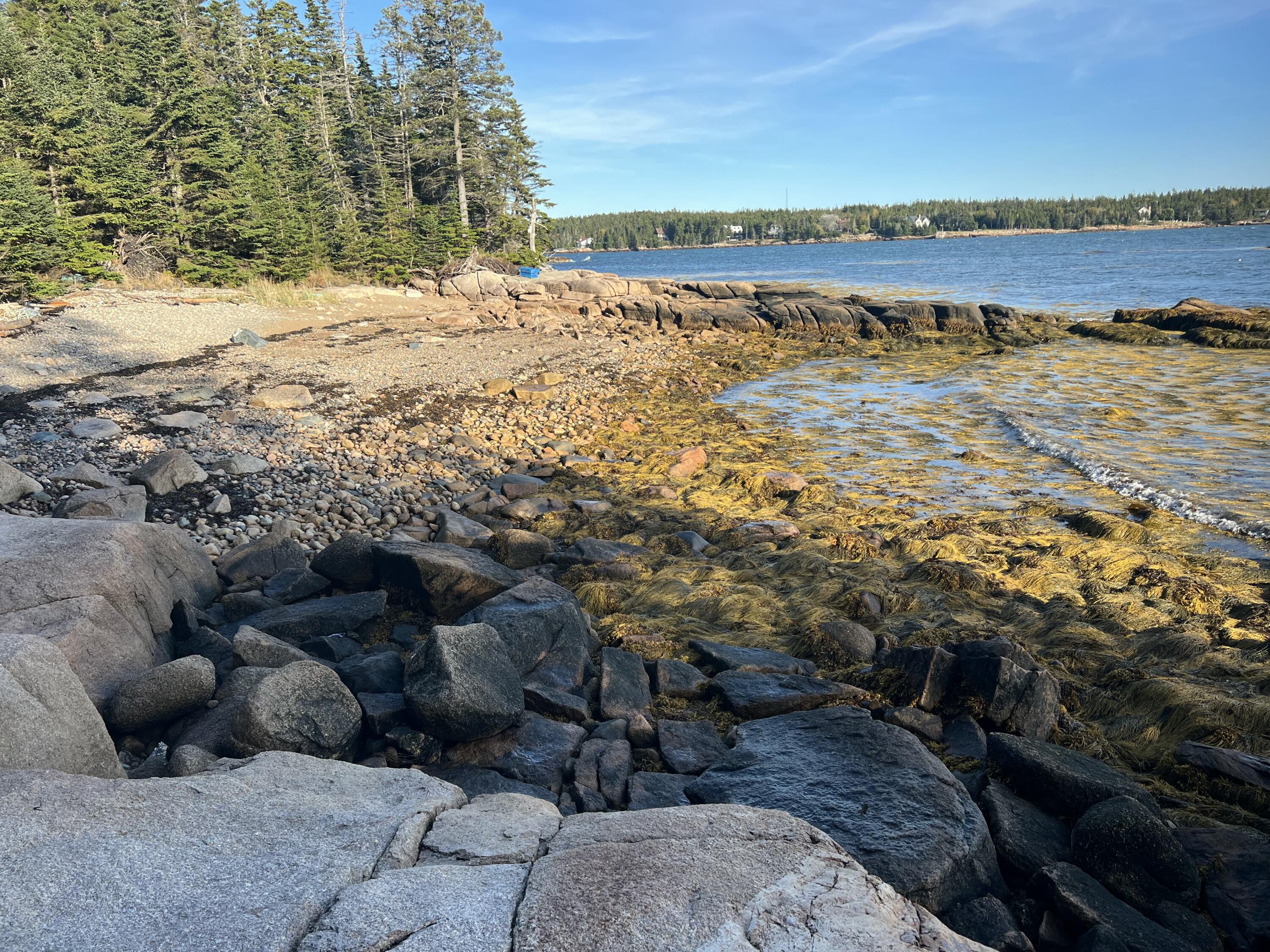 Lot 2 Seaduck Road Beals ME 04611