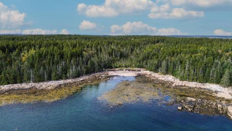 Lot 2 Seaduck Road Beals ME 04611