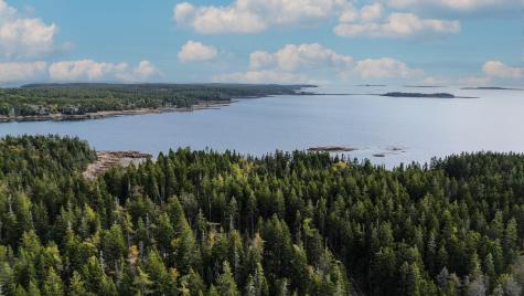 Lot 2 Seaduck Road Beals ME 04611