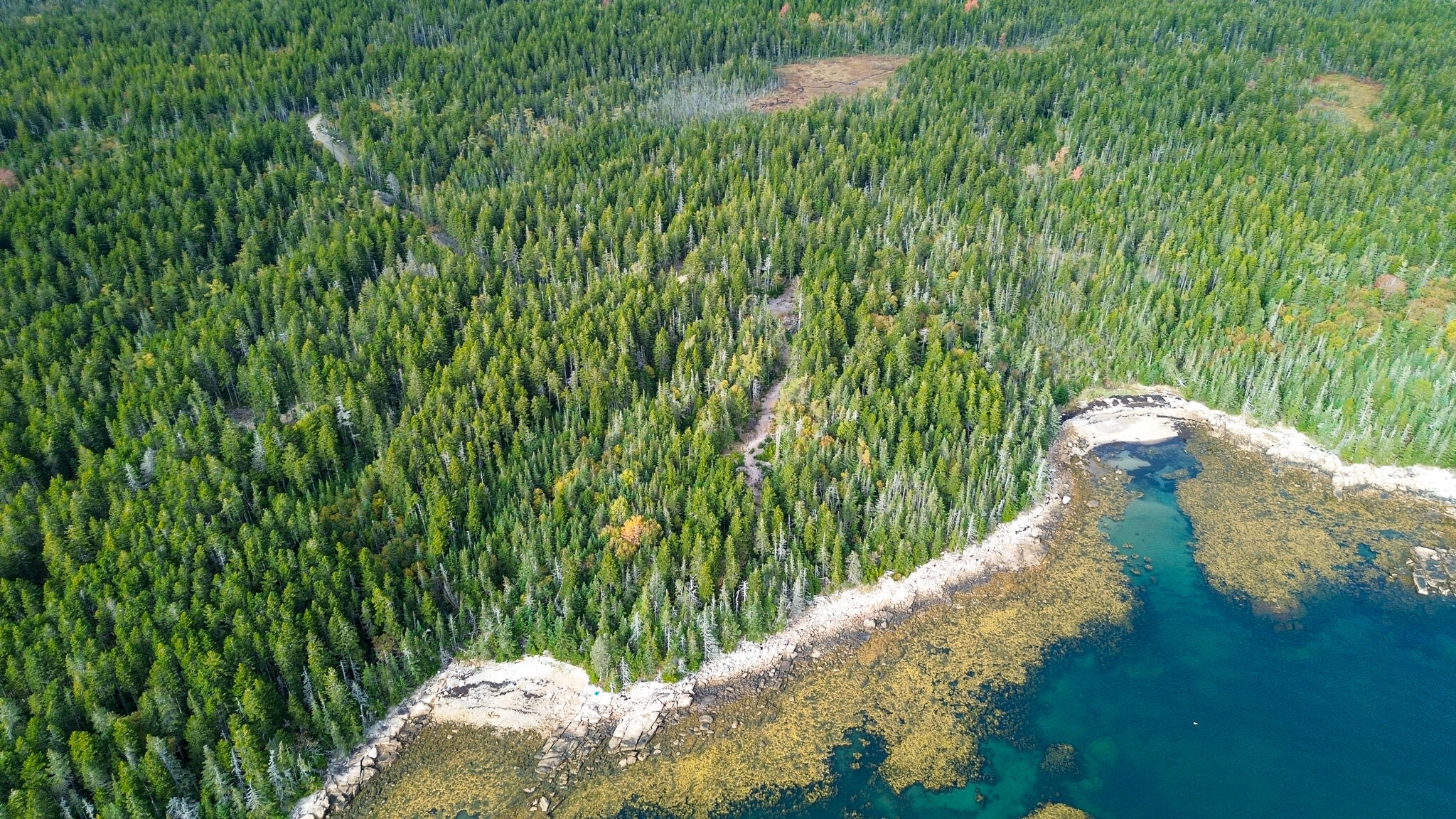 Lot 2 Seaduck Road Beals ME 04611