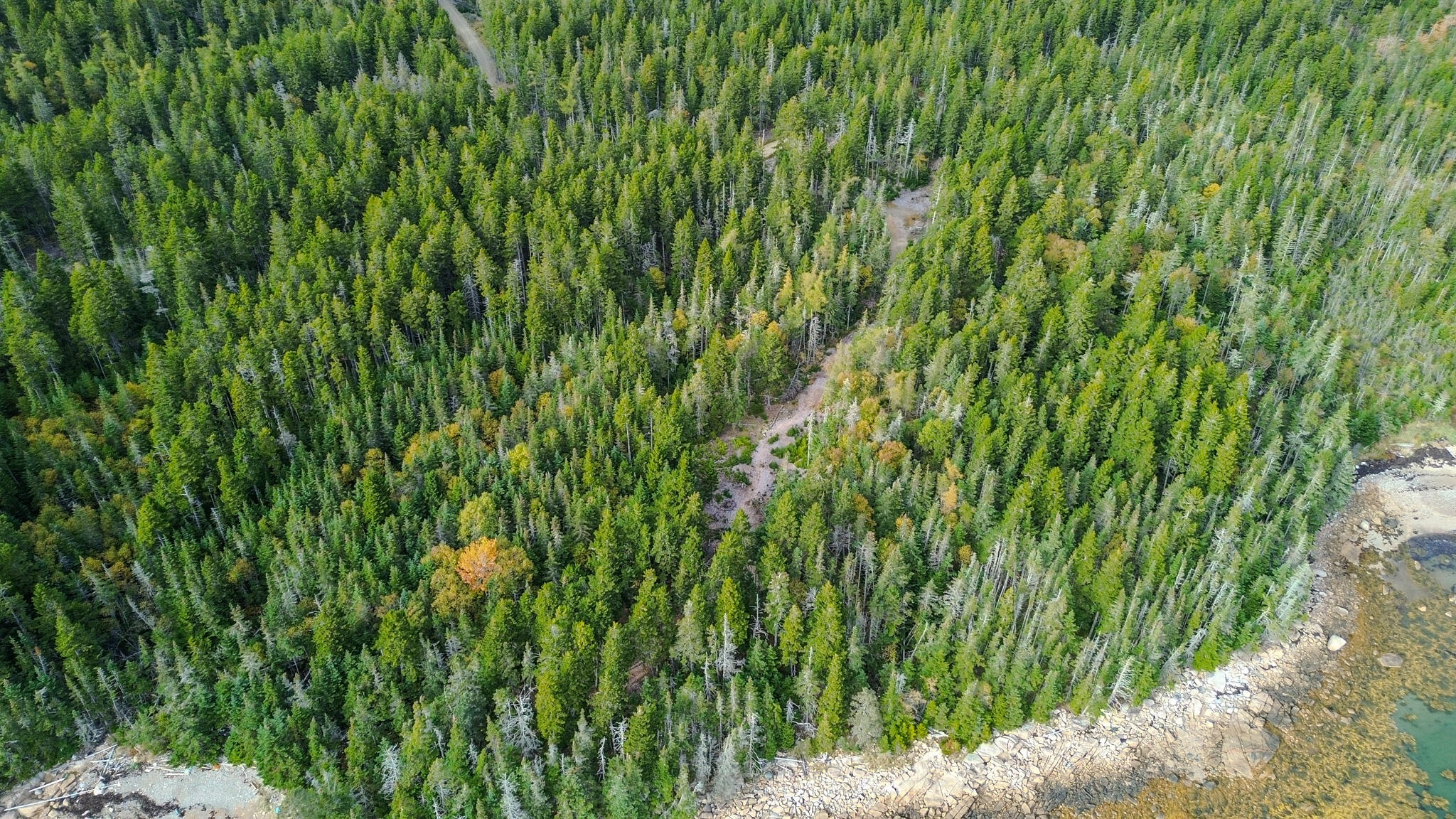 Lot 2 Seaduck Road Beals ME 04611