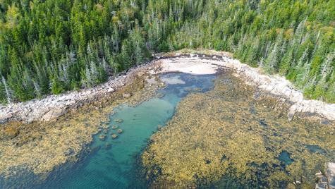 Lot 2 Seaduck Road Beals ME 04611