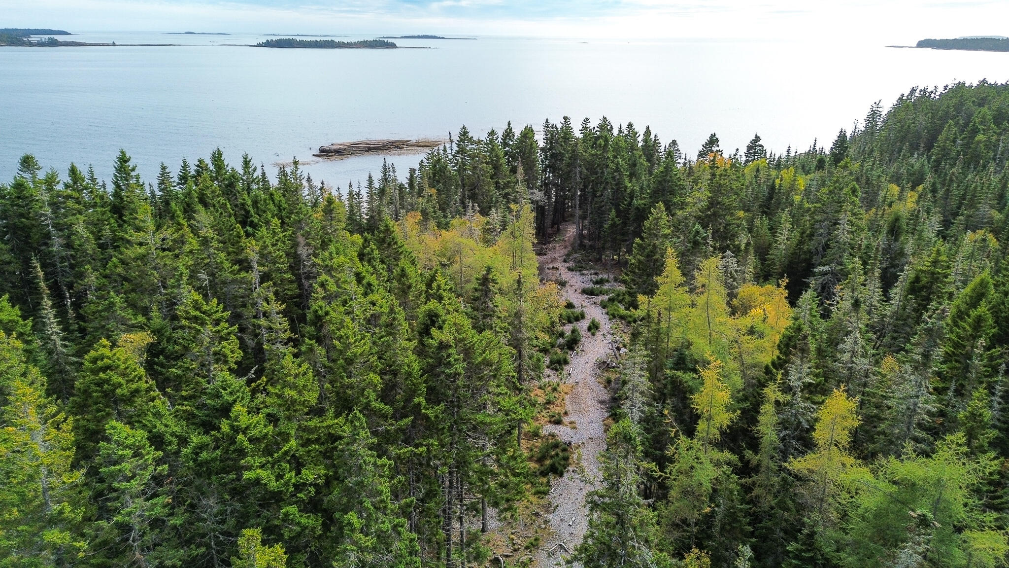 Lot 2 Seaduck Road Beals ME 04611