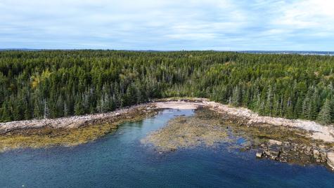 Lot 2 Seaduck Road Beals ME 04611