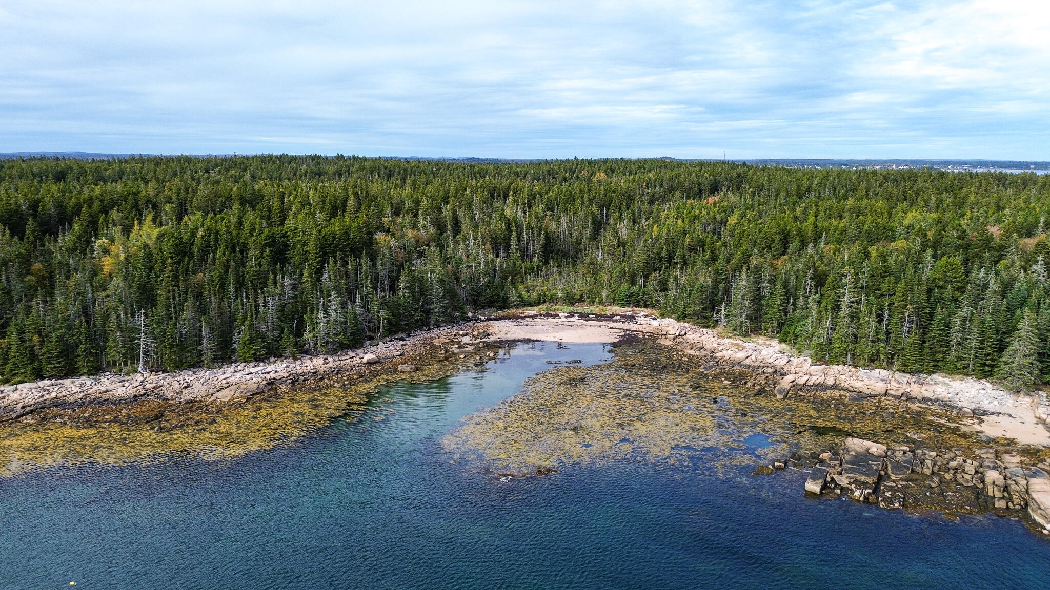 Lot 2 Seaduck Road Beals ME 04611