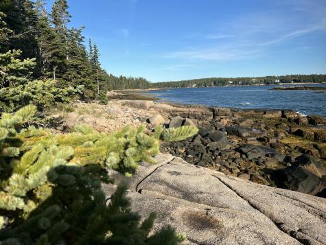 Lot 2 Seaduck Road Beals ME 04611