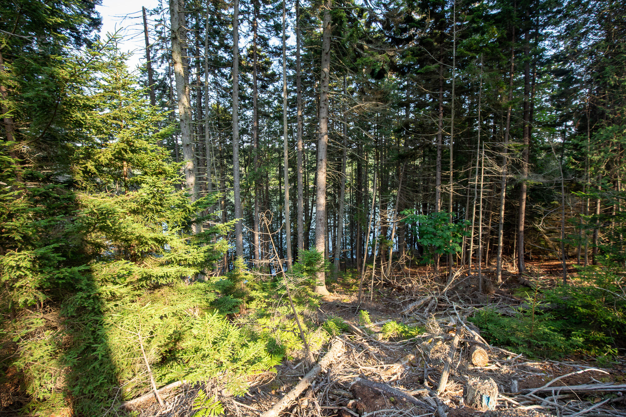 0 Bayview Road Harpswell ME 04066