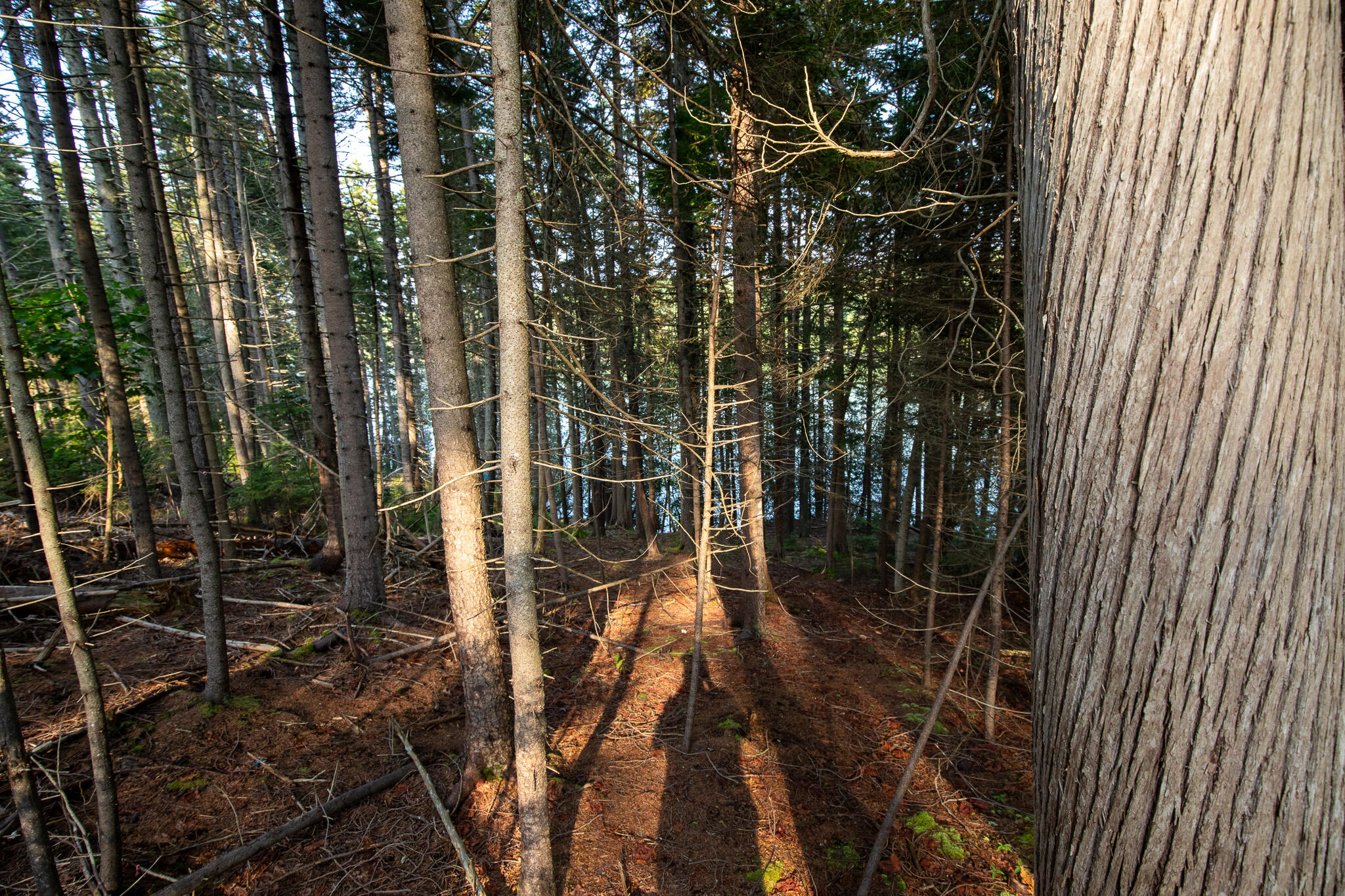 0 Bayview Road Harpswell ME 04066