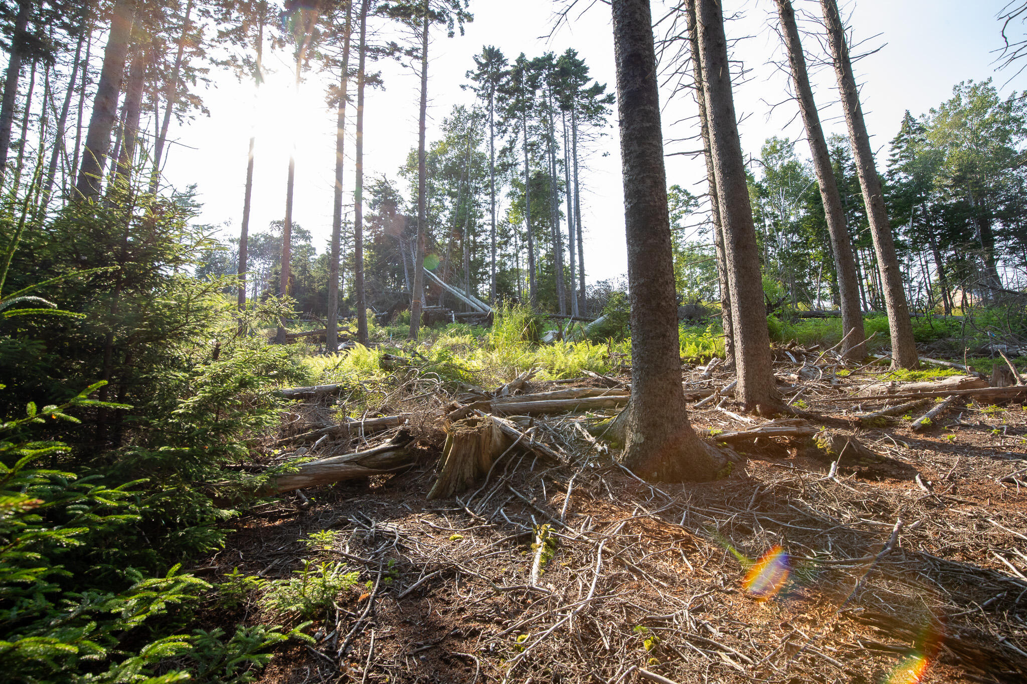 0 Bayview Road Harpswell ME 04066