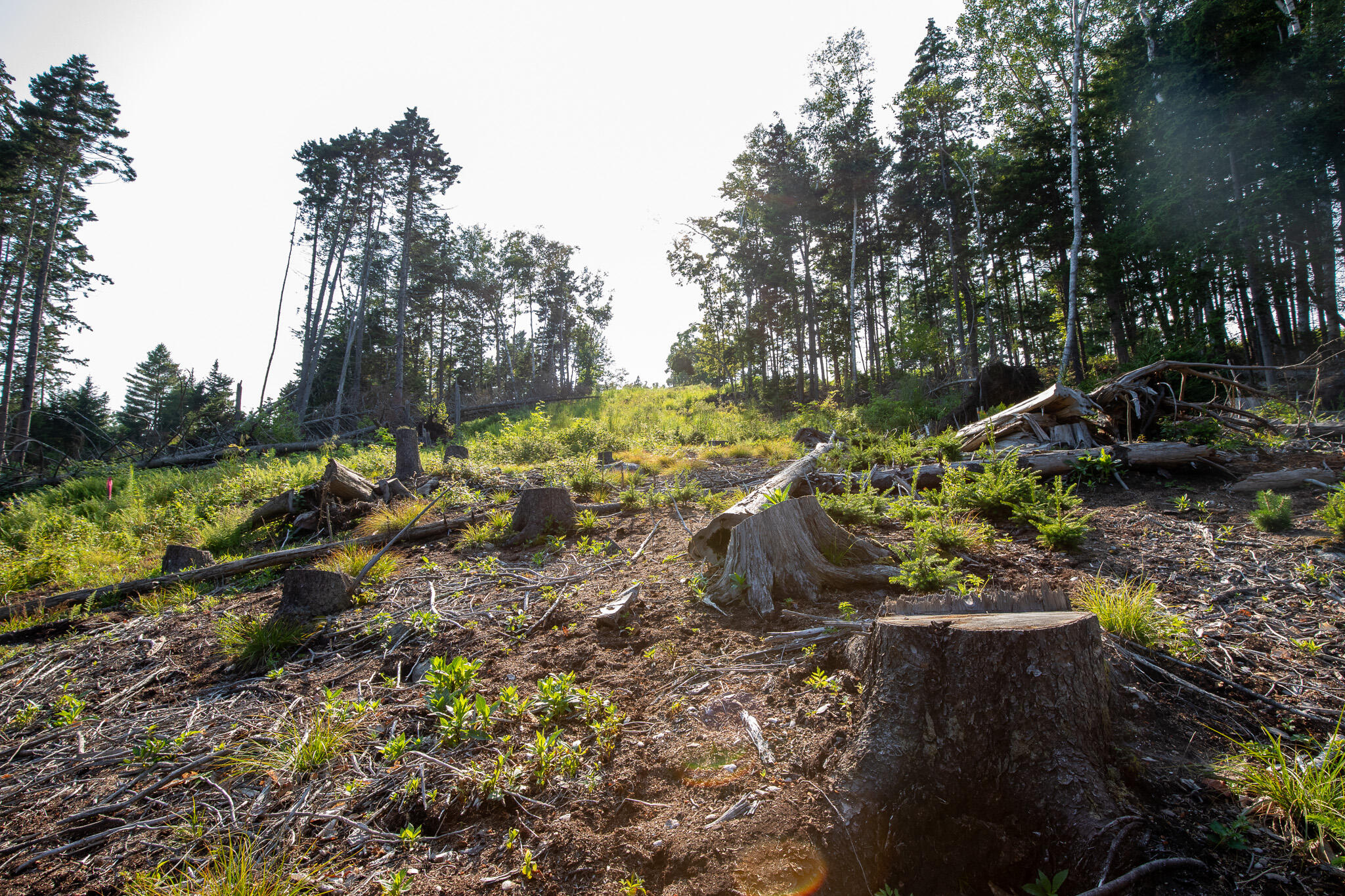 0 Bayview Road Harpswell ME 04066